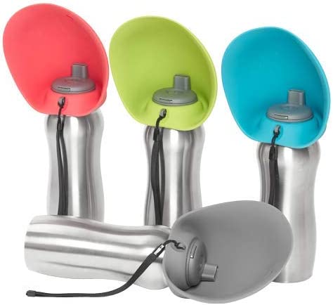 Messy Mutts Stainless Steel Travel Water Bottle with Silicone Flip Up Bowl